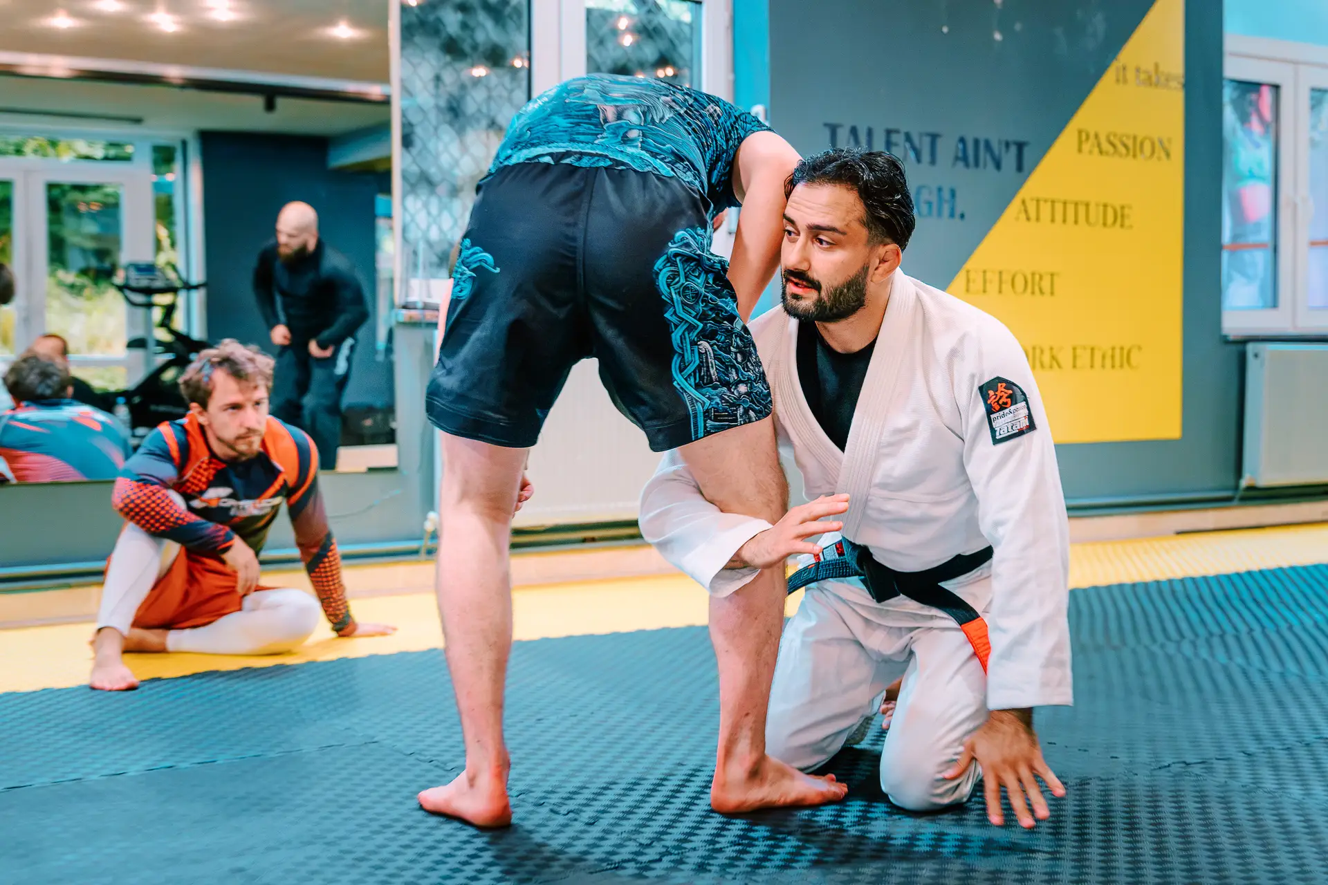 Antrenament de BJJ pentru adulți la Eden Combat Academy din Brașov